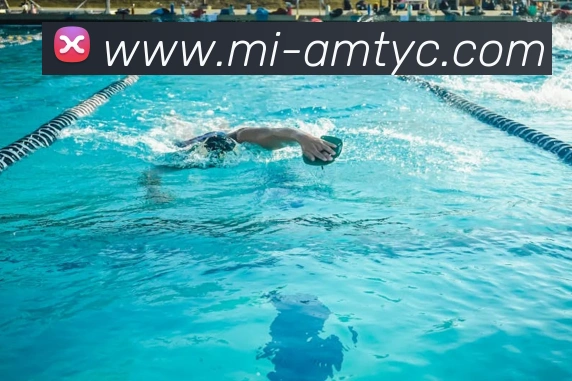 多媒体互动体验